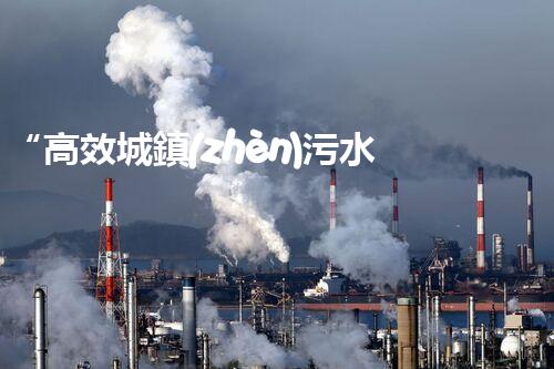 “高效城鎮(zhèn)污水處理流程，守護(hù)碧水藍(lán)天新篇章”